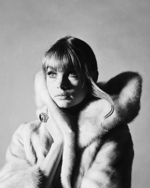 Jean Shrimpton 10" x 8" Photograph no 26