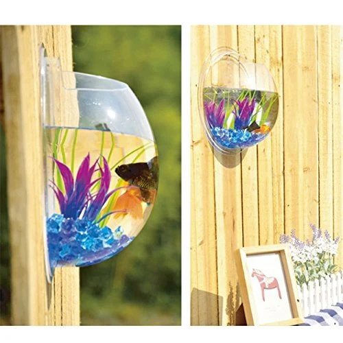Hanging Wall Mounted Fish Tank Bowl Aquarium Wall Decor Plant Fish 1 Gallon 4