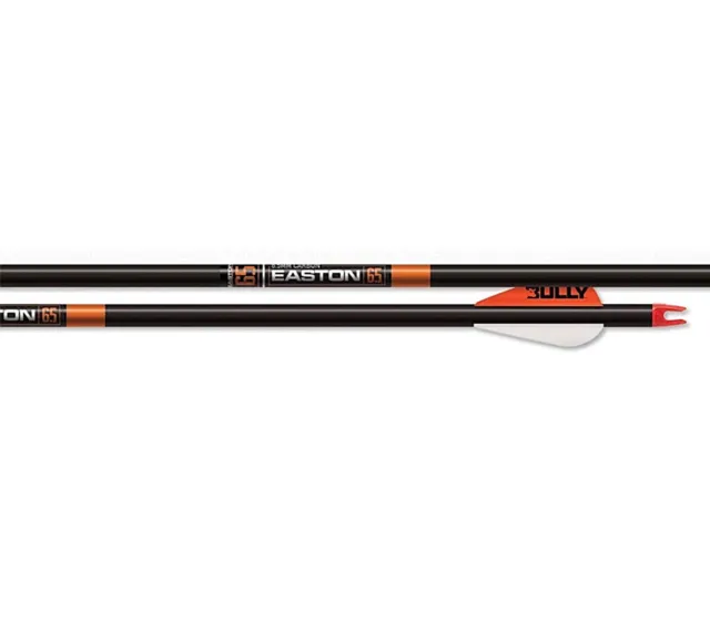 Easton 6-Pack Bowhunter 2" Vane 6.5MM 300 Carbon Arrows #829467TF