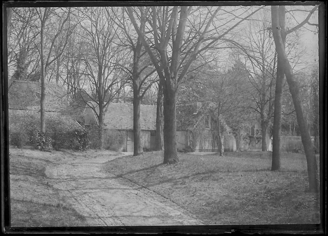 Antique Photo Glass Plate Negative Black & White 6x9cm Castle Tree Park