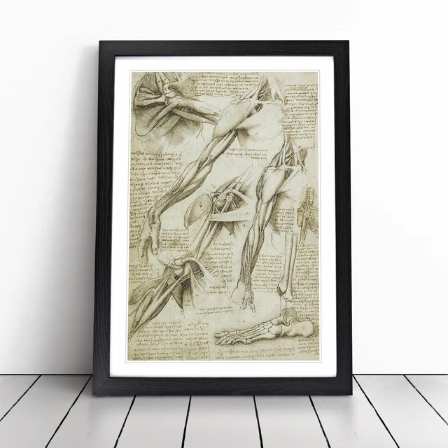 HUMAN ANATOMY VOL.1 By Leonardo Da Vinci Framed Wall Art Print Poster ...