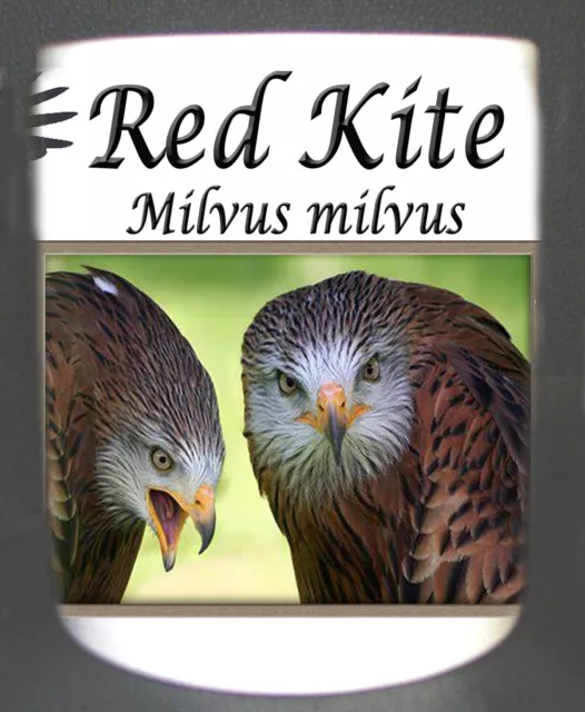 Red Kite Bird Of Prey Coffee / Tea Mug Limited Edition Great Gift  Milvus Milvus 2