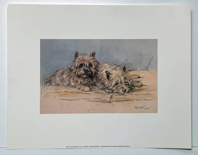 Cairn Terrier colour sketch reproduction print artist Mac (Lucy Dawson)