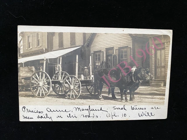 Ox Cart Princess Anne Maryland real photo postcard Rare