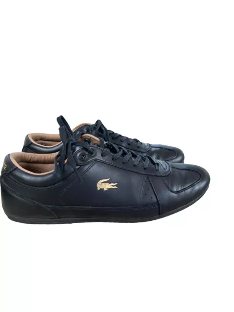 Lacoste evara sales premium 319