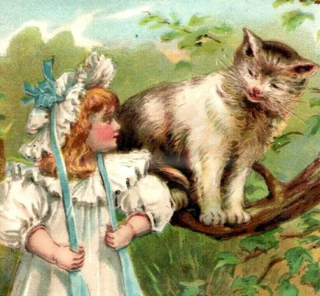 1880s Victorian Card Adorable Little Girl & Giant Happy Cat In Tree Fab! 7T