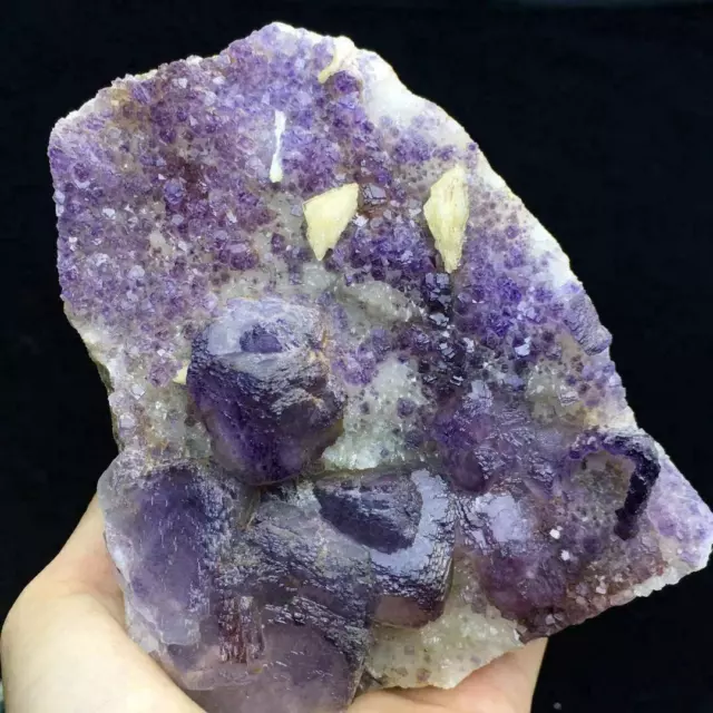 1.2 LB Translucent Deep Purple Edge Cubic Fluorite Crystal & Calcite Specimen