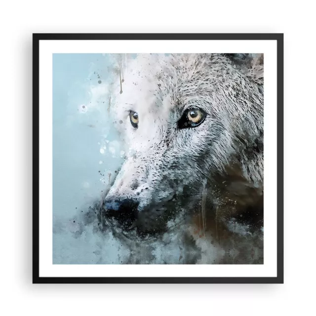 Cuadro Poster de Pared 60x60cm P�ster Marco Blanco El Lobo Imagen Wall Art