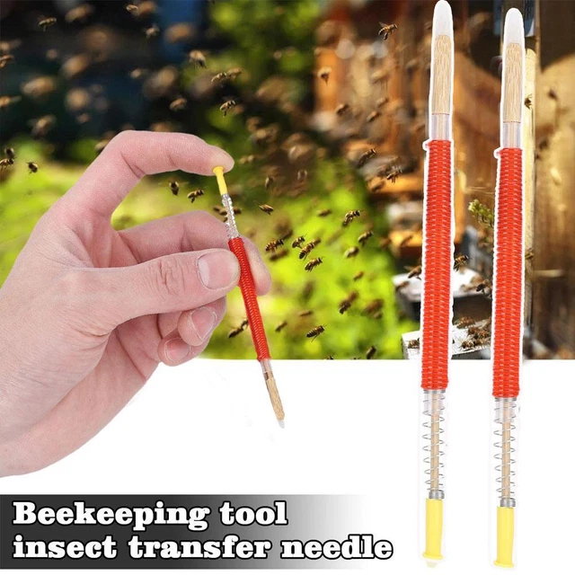 10Pcs Beekeeping Larvae Grafting Needle Bee Rearing NEW Tool For Apiculture M1Z0
