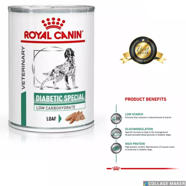 Food for diabetic deals dogs uk
