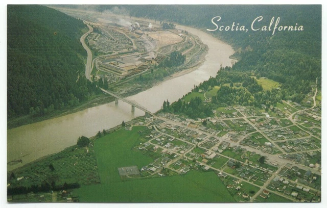 Scotia CA Aerial View Postcard California