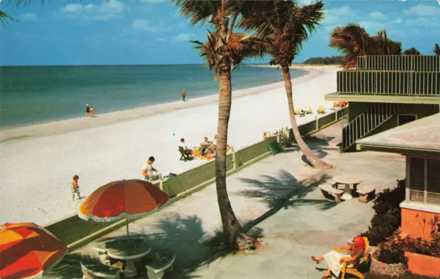 St Petersburg Florida, White Sandy Beach Sunbathers Umbrellas, Vintage Postcard