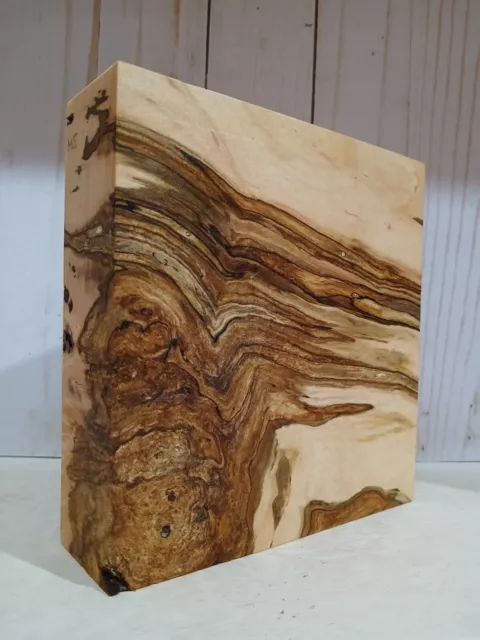 XL Wicked FIGURED AMBROSIA Maple Burl wood, STABILIZING, Craft WOOD turning wood