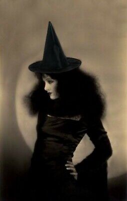 Antique Fancy Witch Photo 475b Oddleys Strange & Bizarre
