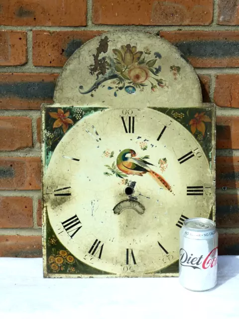 18thC Enamel Long Case Clock Dial Hand Painted  Floral & Pheasant Bird Scene a/f