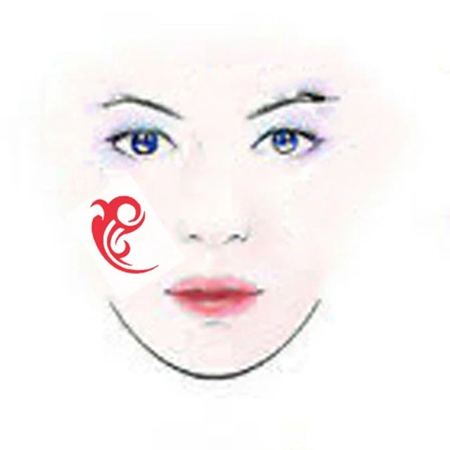 ANIMAL PRINT BODY Painting Stencils White Face Tattoo Party Makeup