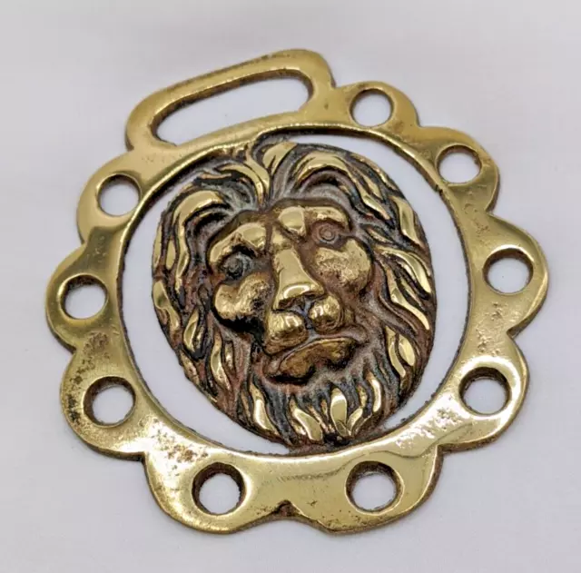 Brass Horse Medallion Vintage English Lion 3D Head Jungle King Cat Pierced Show