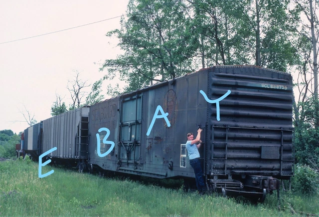 Seaboard Coast Line SCL 50' Boxcar #828739 Norfolk NY 1983 Original Kodachrome