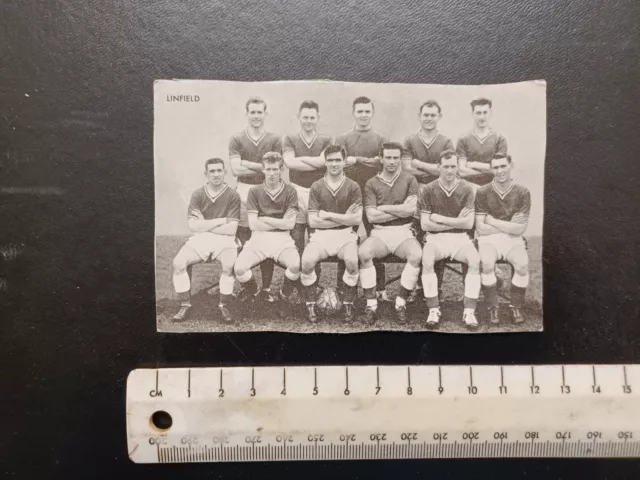 Fußballkarte - LINFIELD - Belfast - Thomson Star Teams von 1961