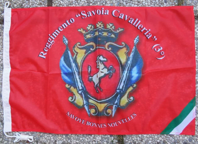 La Bandiera di Guerra del 151° reggimento fanteria Sassari