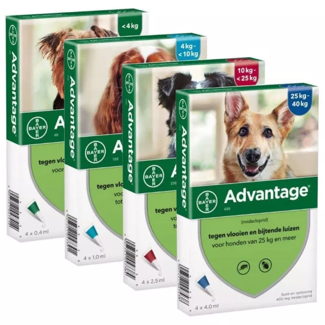 ADVANTAGE¹anti Puces chien dog flea treatment 4 pipettes 1-40 kg XS-S-M-L-XL