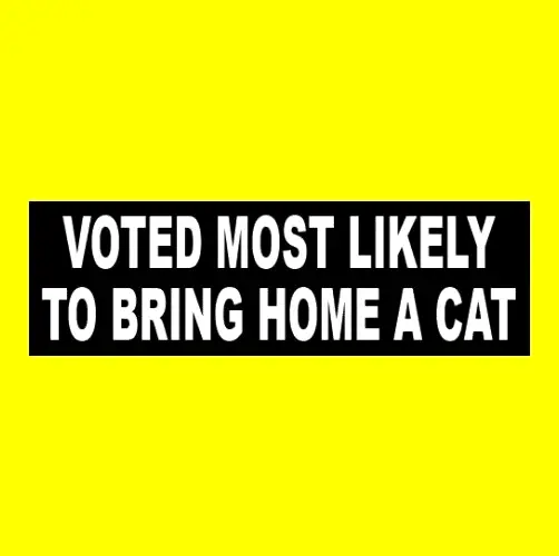 Funny "VOTED MOST LIKELY TO BRING HOME A CAT" adopt decal BUMPER STICKER kittens