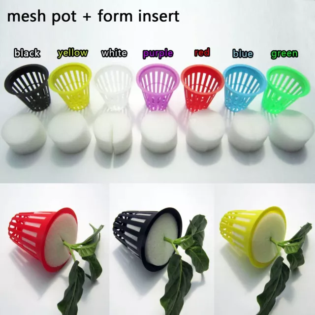 10X Mesh Pot Net Basket Clone Cloning Collar Foam Insert Hydroponic Aeroponic 2”