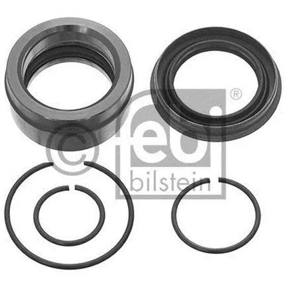 FEBI BILSTEIN 46252 Reparatursatz Kippzylinder