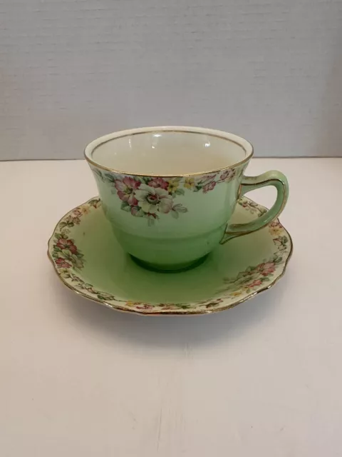 Rare Vintage Royal Winton Grimwades "Apple Blossom" Tea Cup  and Saucer