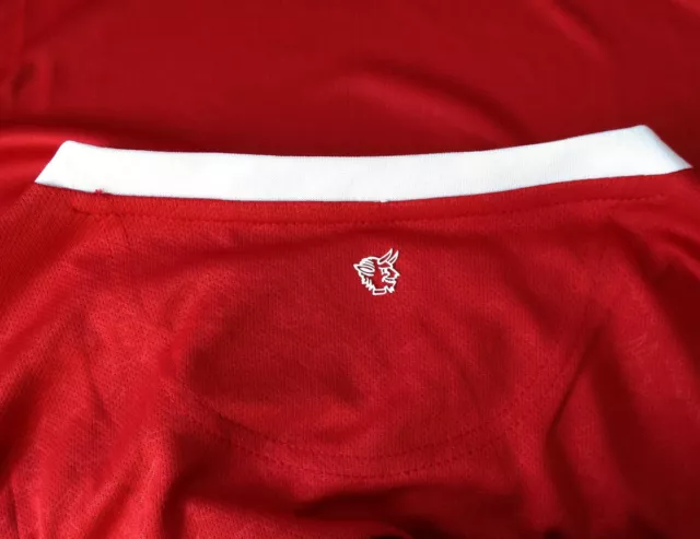 1. FC Kaiserslautern Trikot 2017/18 Home Uhlsport Herrengröße M 3