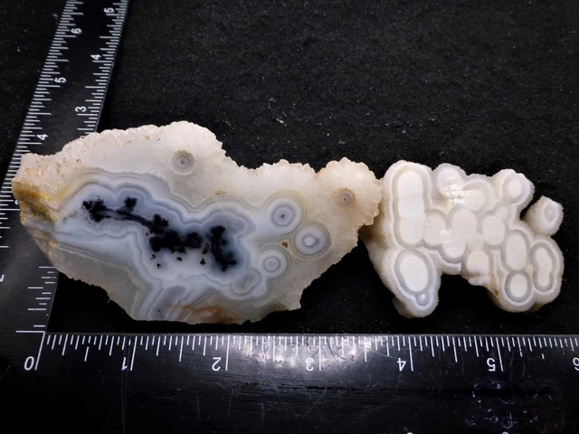 ORCA:  Very Rare Old Glendo Tube Agate Pair Faced, Wyoming