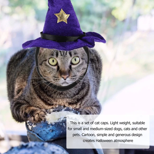 Cat Halloween Outfit Witch Cosplay Dog Outfit Hat Witch Costume Women Adjustable 4
