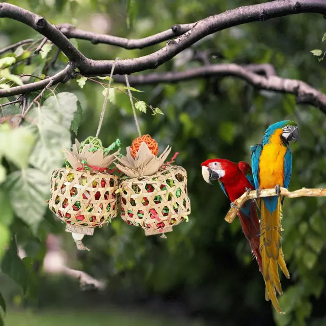 Jouet à mâcher pour perroquets, fournitures pour animaux de compagnie, boule