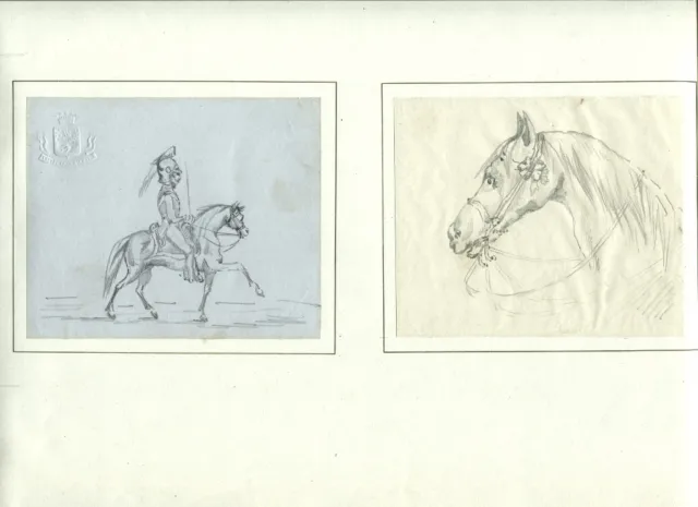 Cheval , caricature -2  Dessins originaux anciens