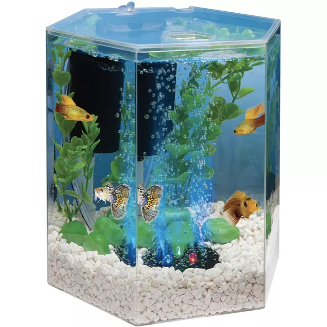 Tetra 1 Gallon Hexagon LED Aquarium Kit with Air Filter & Bubbler