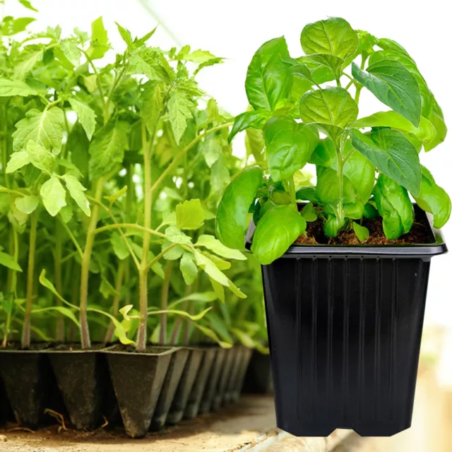 Small Square Pot Eco-friendly Nursery Pots for Vegetable Plants Reusable