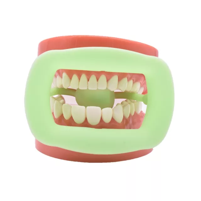5Pc Silicone Dental Retractor Intraoral Lip Cheek Mouth Opener Teeth Props Green