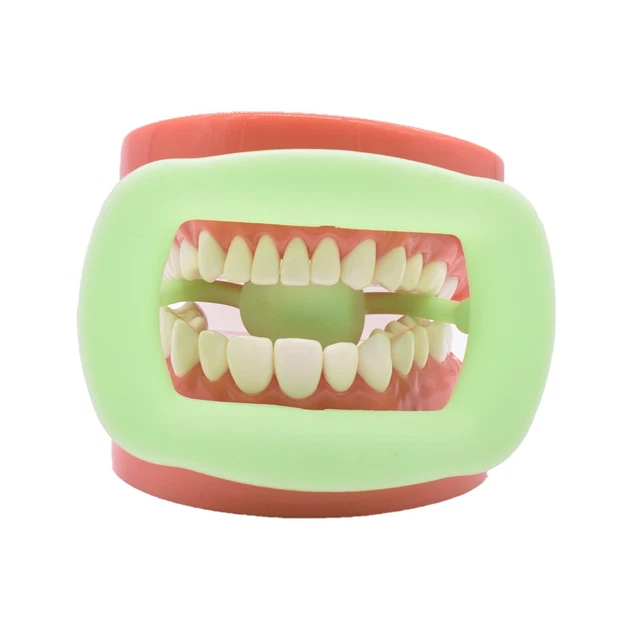 5Pc Silicone Dental Retractor Intraoral Lip Cheek Mouth Opener Teeth Props Green