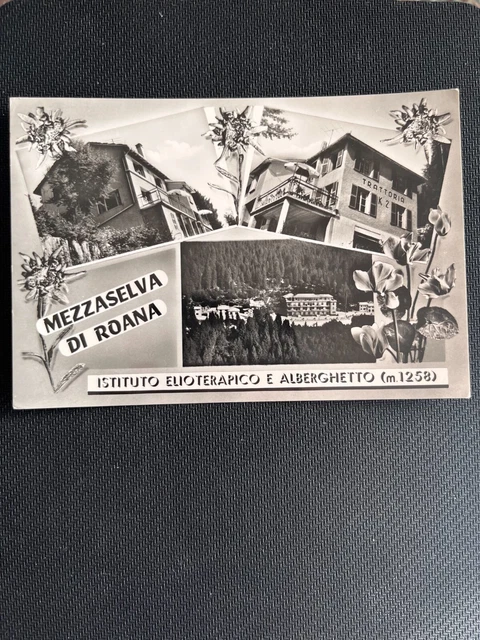 Cartolina  Mezzaselva Di Roana Vedutine Ist.eliot. E Alberghetto  Viaggiata 1963