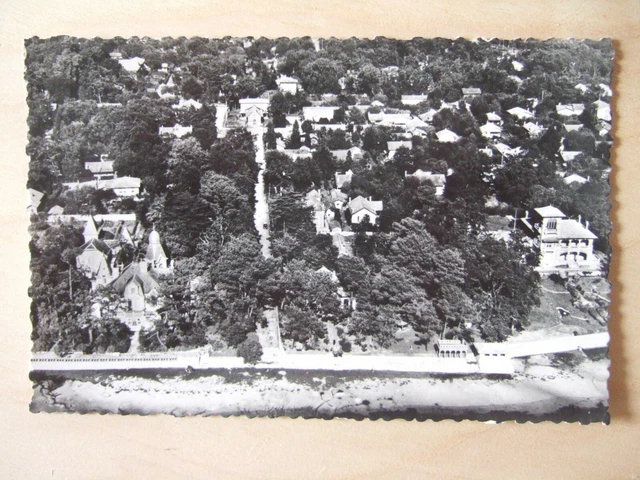Cpa Taussat Les Bains (33) Les Bords Du Basin, Aerial View. Real Photo