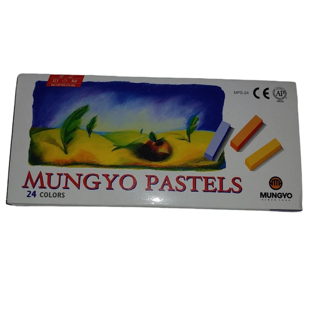 Mungyo Pasteles 24 Colores Muy Suave Artista Dibujo en Tiza Nuevo Caja Abierta Mini Pasteles
