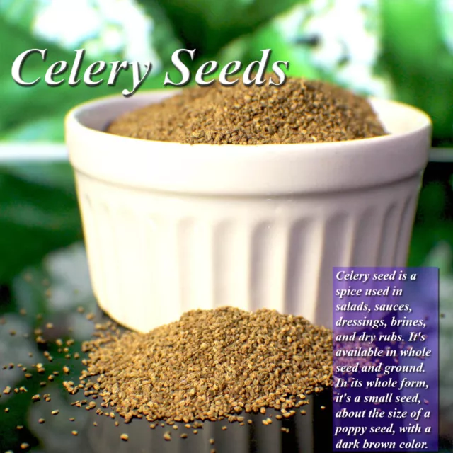 Organic Celery Seeds Real Superfood 100% Pure Natural Premium Quality