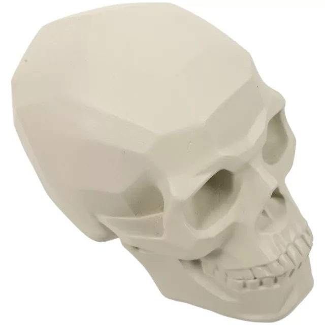 Schizzo teschio resina scultura pratica modello schizzo strumento di apprendimento schizzo schizzo cranio