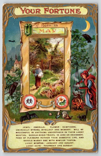 Your Fortune~May Emerald~R​ed Witch Stirs Pot~O​wl~Bla​ck Cat~Bat~Zodiac~1908