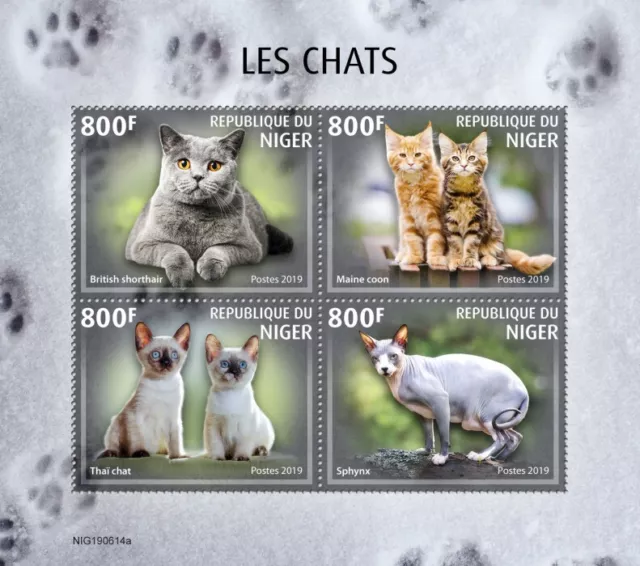 Niger 2019 MNH Cats Stamps British Shorthair Maine Coon Thai Cat Sphynx 4v M/S