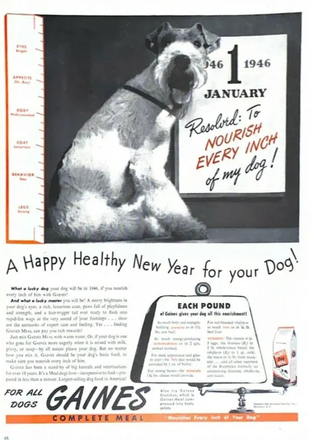 1946 Gaines Dog Food Vintage Print Ad Schnauzer A Happy Healthy New Year