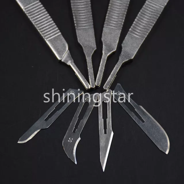 Dental Surgical Scalpel Sterilized Blades Carbon Steel 10#/11#/12#/15#+ Handle