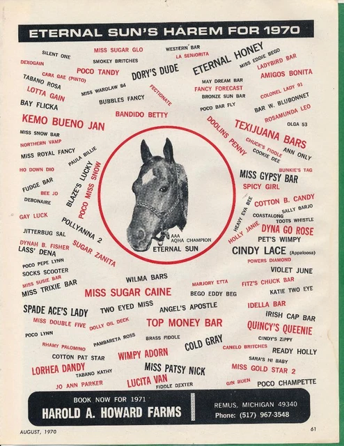 Magazine Ad - 1970 - Howard Horse Farms - Remus, MI - ETERNAL SUN