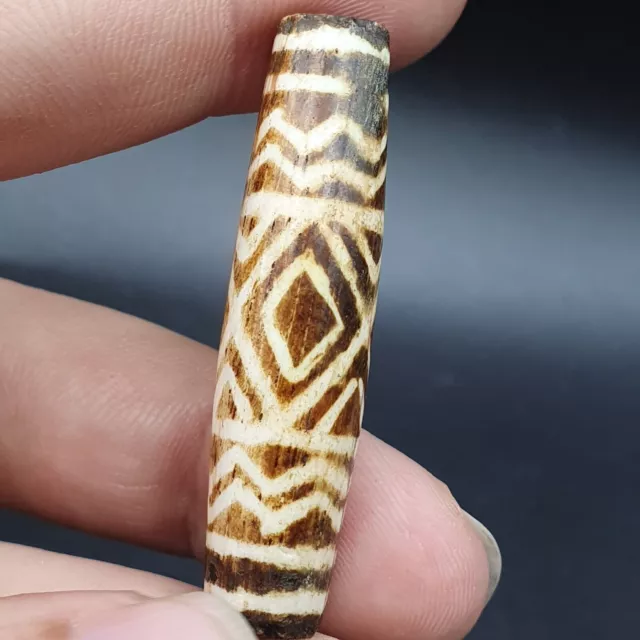 AA Antique South Asian Burmese Old pyu Bead Pumtek petrified Wood Stone Bead