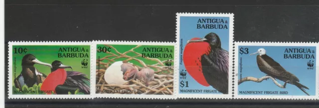 Barbuda 1994 Wwf Fauna Vögel 4 Val MNH MF57108